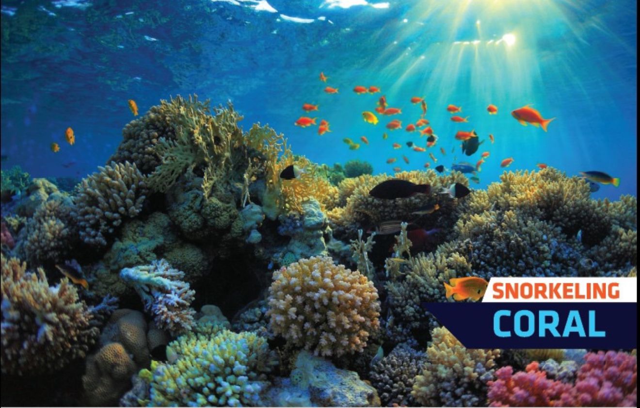 Snorkeling en El Acuario