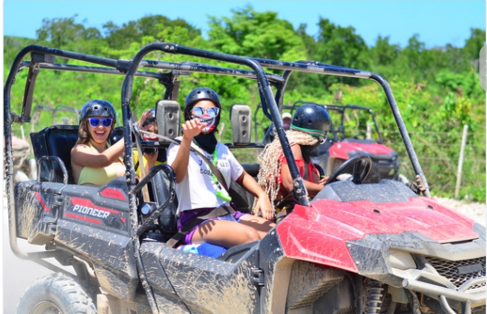 Grupo en buggy Pioneer